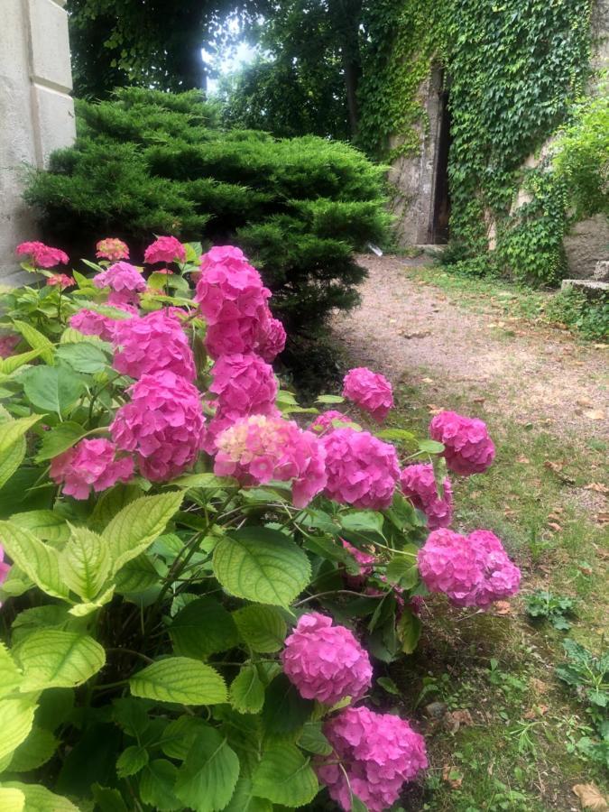Bed and Breakfast Demeure Des Payratons Saint-Gerand-le-Puy Zewnętrze zdjęcie